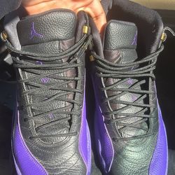 Jordan 12 Retro Field Purple 