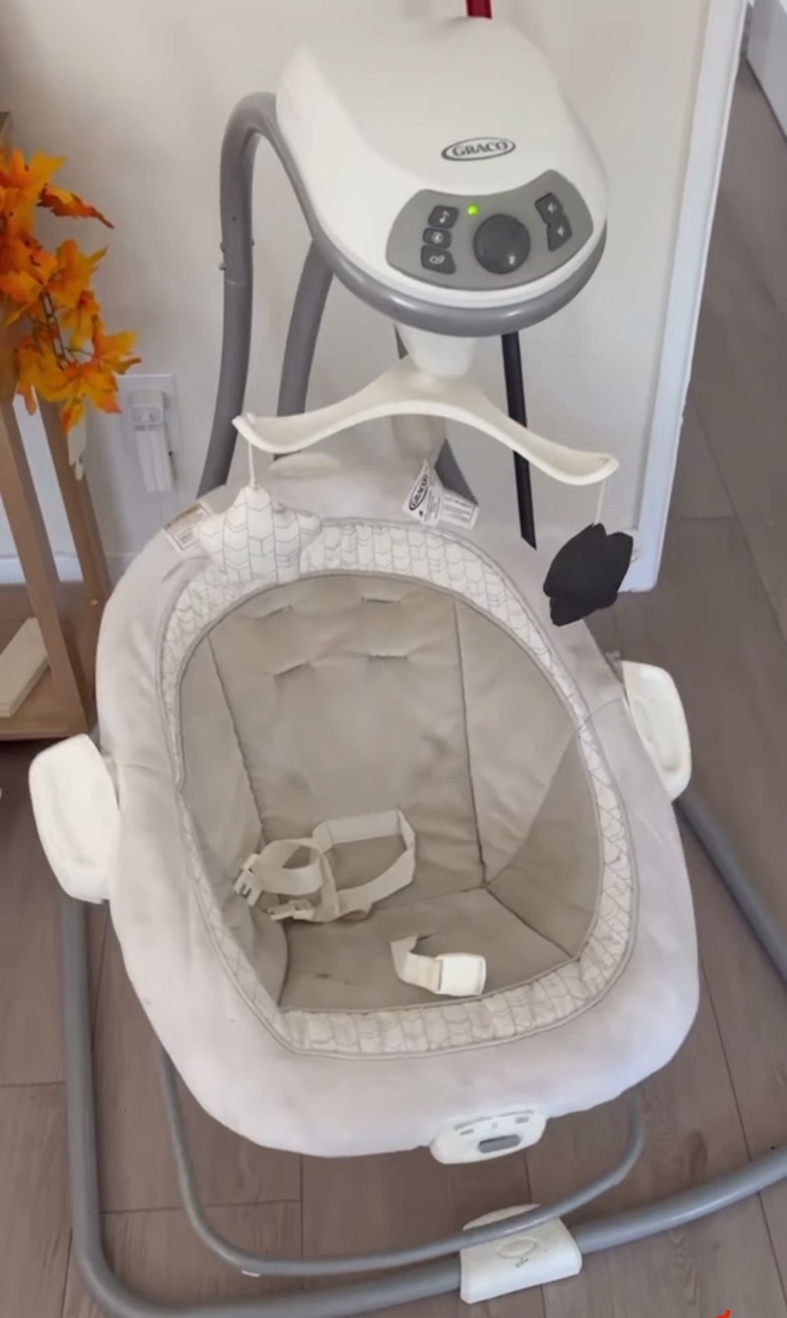 Baby Swing/ Bouncer 