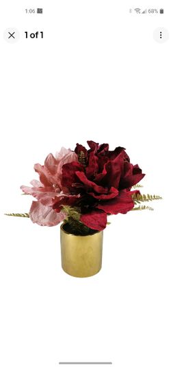 Martha Stewart Blush Eucalyptus Potted Arrangement
