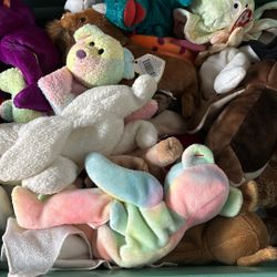 Beanie Baby’s 