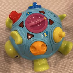 Turtle Toddler Toy