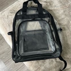 See-Through Backpack