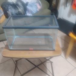 10 Gallon Critter Tank With Screen Top