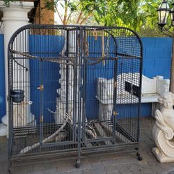 Bird Cage