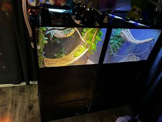 Iguana/Chameleon’s Mesh Cage