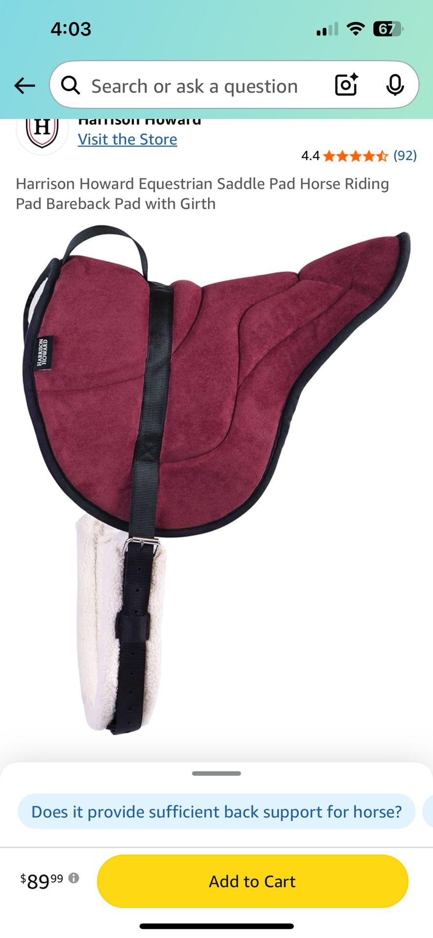 Horse Padded Saddle And Girth