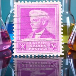 1940 Scott #876 Famous American Scientists Luther Burbank 3-cent Post Marked Canceled Stamp. The stamp presented is a 3-cent United States postage sta