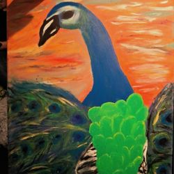 Peacock Painting