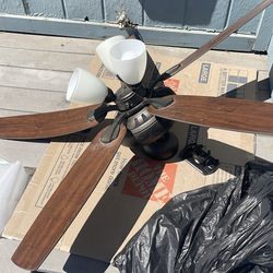 Ceiling fan