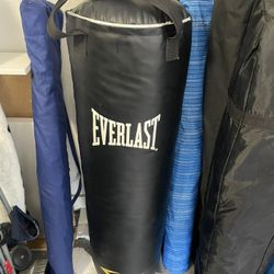 Punching Bag W/ Gloves