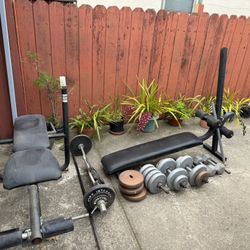 Weight Bench Plus