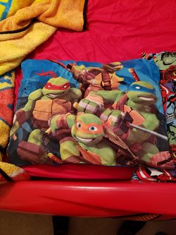 Twin comforter and pillow