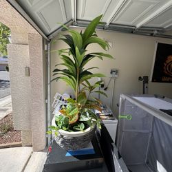 Fake Plant With A Nice River Rock Bowl Basin