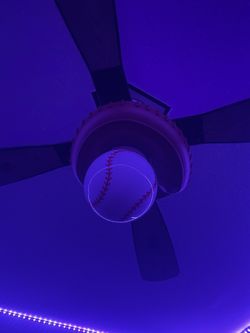 Baseball Fan