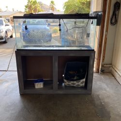 55 Gallon Fish Tank 