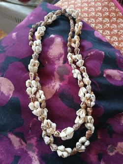 Shell. Necklace