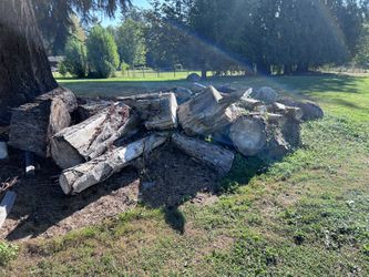Dry Fire Wood 