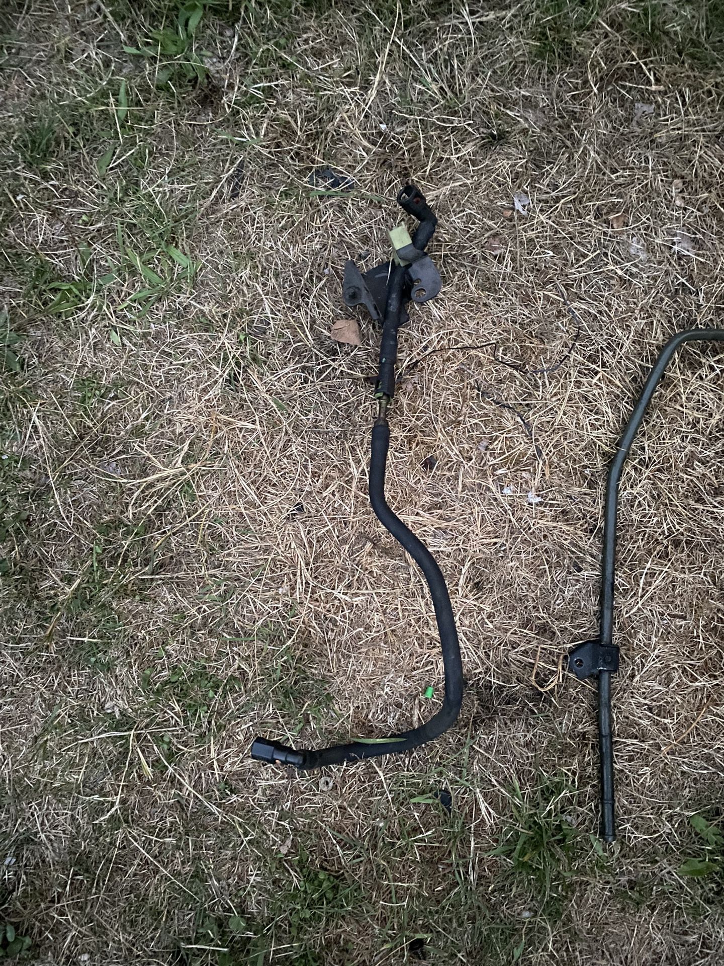 Engine Fuel Delivery Hose Honda Element Part
