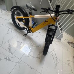 Electric Bike