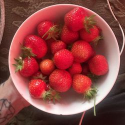 Strawberry Plant – 1 Gallon (Already Fruiting!)