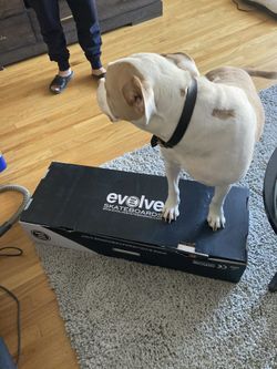 Evolve Skateboard