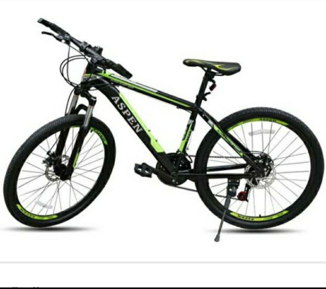 Primo International Aspen Mountain Bike 21s