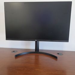 Computer Monitor