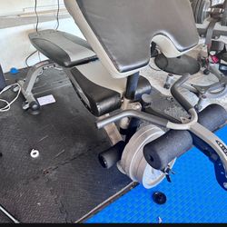 Workout Bench