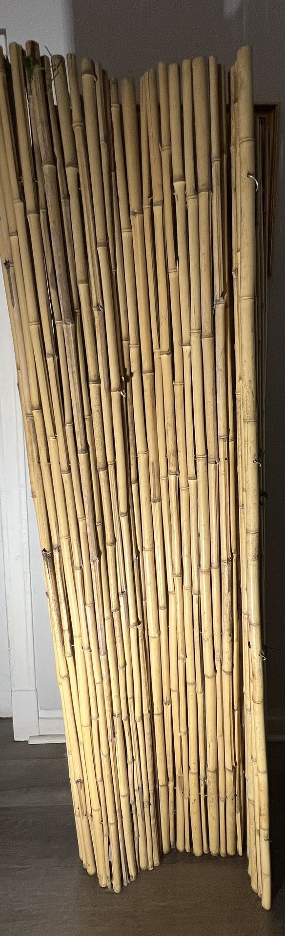 Natural bamboo fence