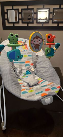 Baby Bouncer