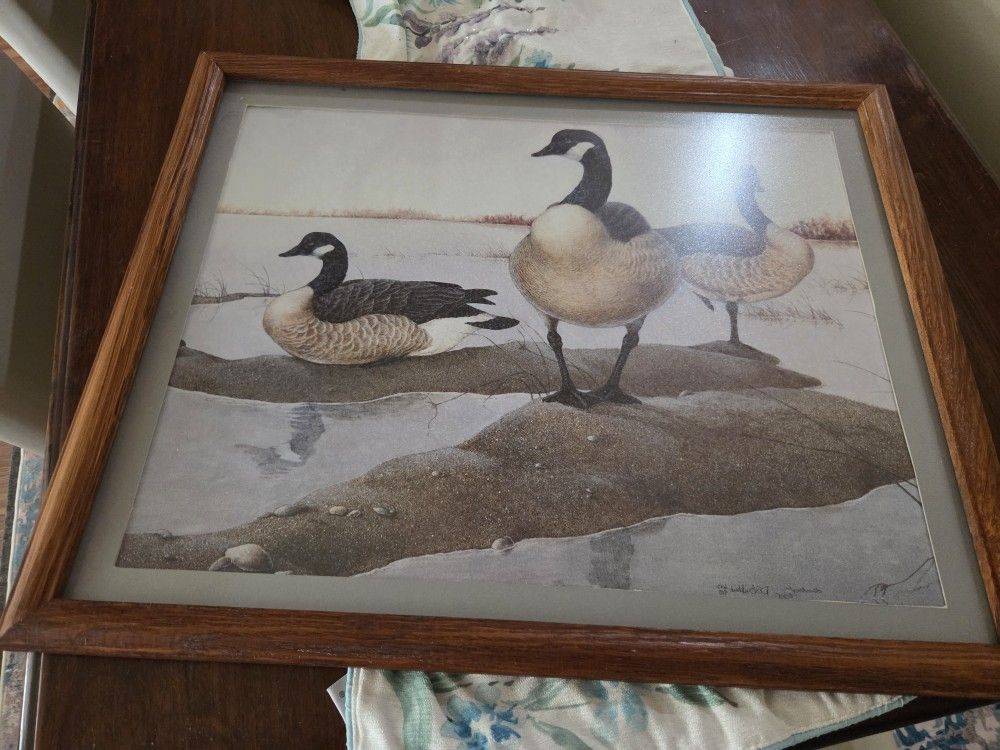 Ducks Unlimited DL Burkhart framed/matted/numbered  Print
