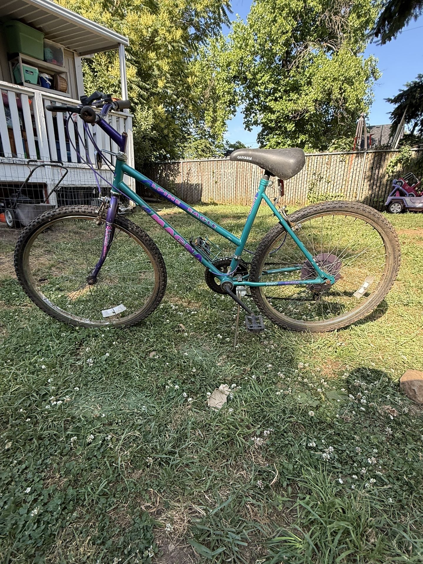Ladies Magna Alpine Eagle 10 Speed Bike
