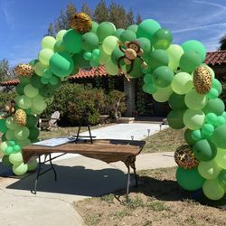 Any Theme Balloon Arch - Safari Example 