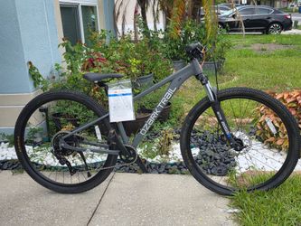 🚵♀️ Ozark Trail Ridge – 29" Wheels – Small 15" Frame – Gray – $220