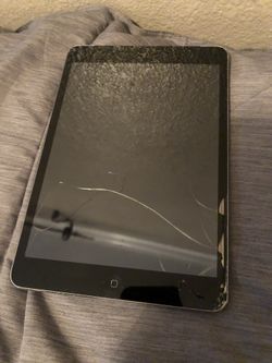 iPad mini 2