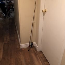 Fishing Rod