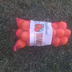 Oranges Navel Organic 