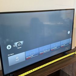 43 inch TV - insignia