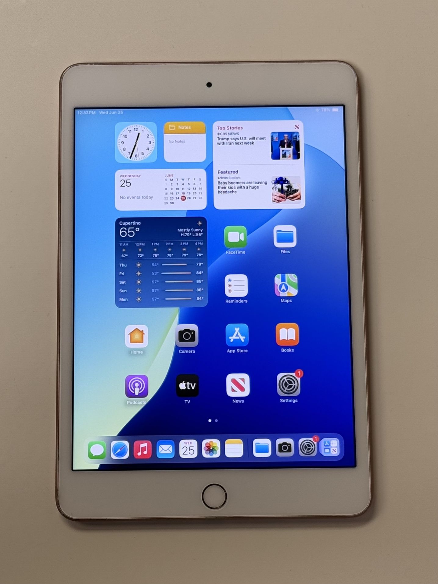 Apple iPad Mini 5 5th Generation 7.9” 64GB IOS 18 Tablet Rose Gold 