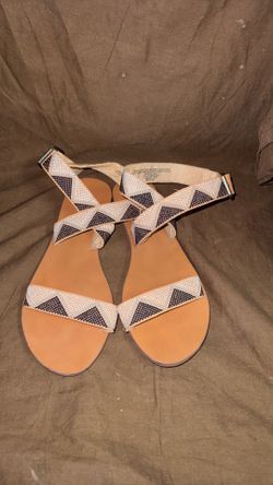 Shoe’s