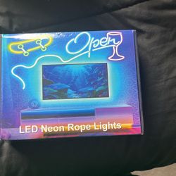 Rope Led Lights