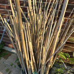 Bamboo Stakes $1.00 Each 