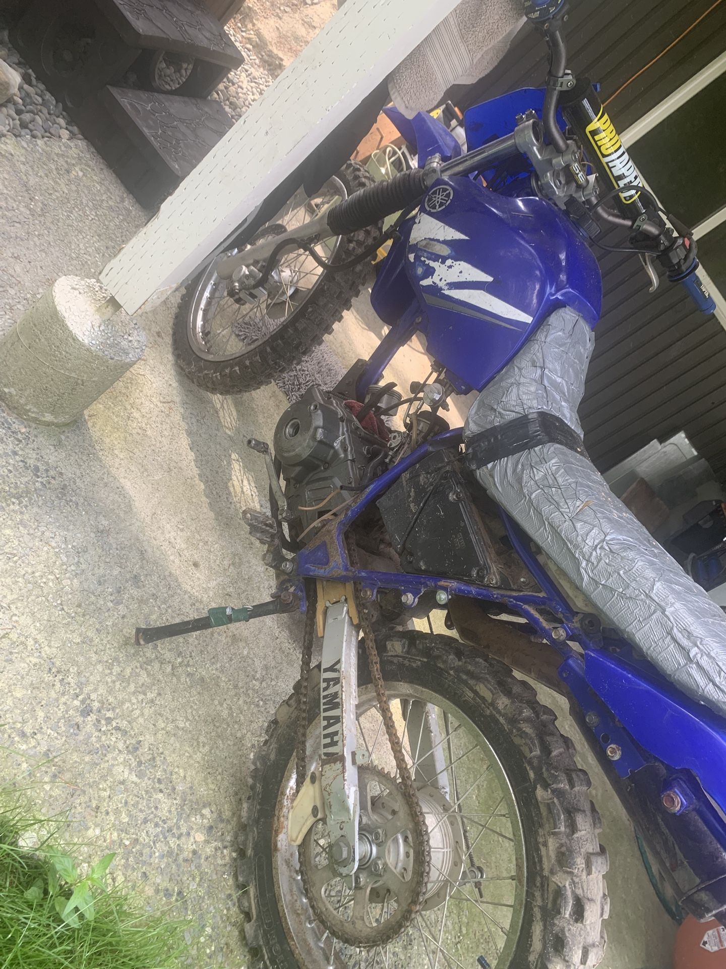 TTR 230