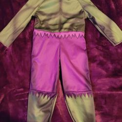 Toddler Hulk Costume 