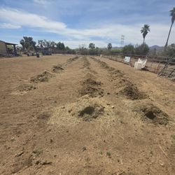 Free Horse Manure Northwest Tucson Just Off Cortaro And I-10