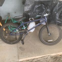20” Kink Curb BMX 2023 Model