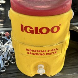 Igloo Water Jug