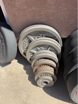Olympic size weights