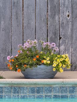 Elegant Blue Concrete Pot