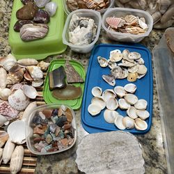 Shell and Stone Collection
